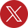 x-icon